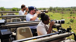 Mala Mala专业向导带领Safari