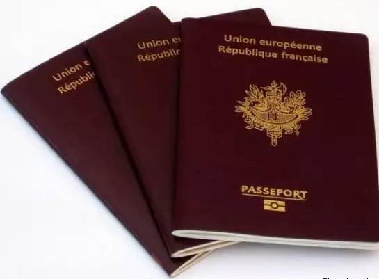 法国护照办理